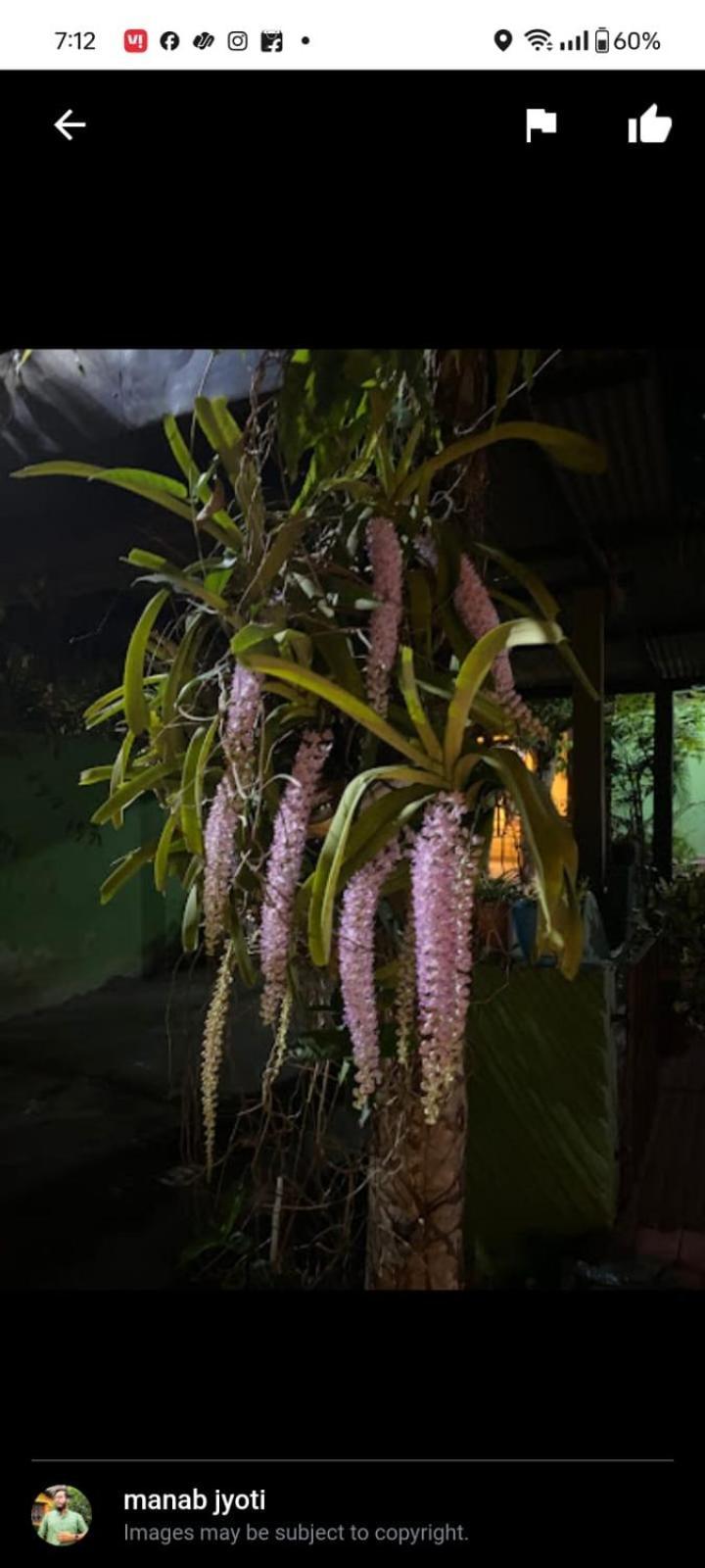 Orchid Park Homestay Sivasagar Экстерьер фото